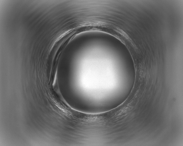 X0000059090826200510101142