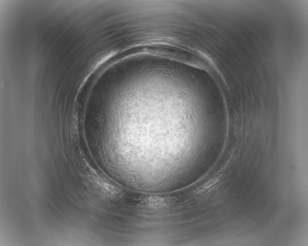 X0000059090827200510101142