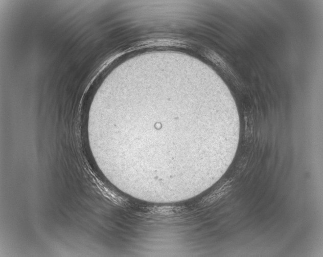 X0000059090828200510101142