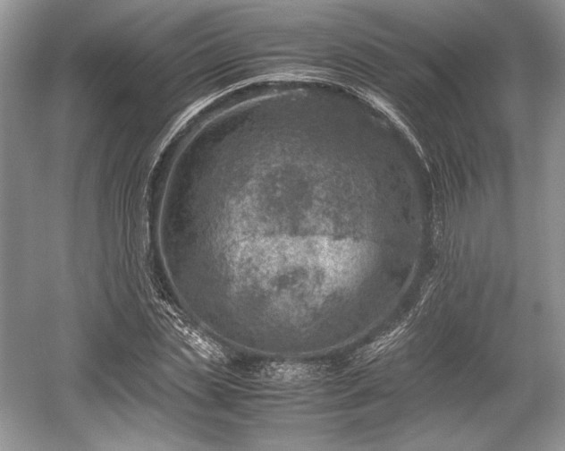 X0000059090829200510101142