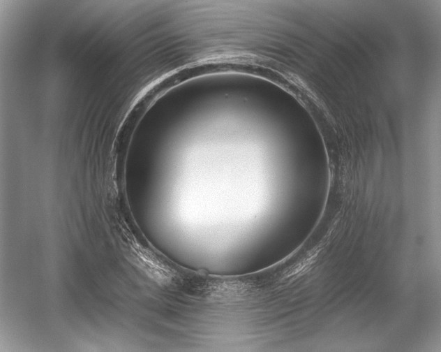 X0000059090830200510101142