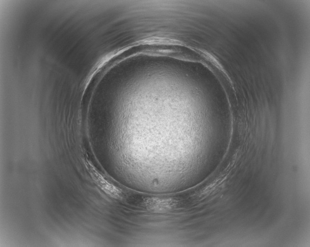 X0000059090831200510101142