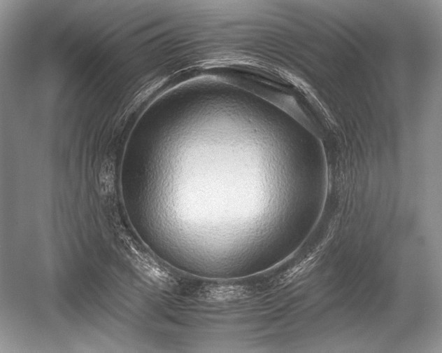 X0000059090833200510101142