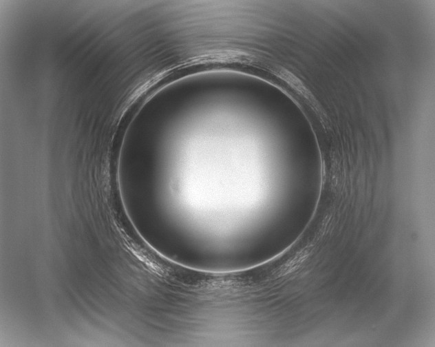 X0000059090834200510101142