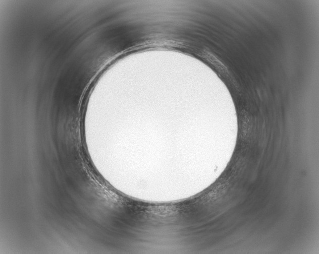 X0000059090836200510101142