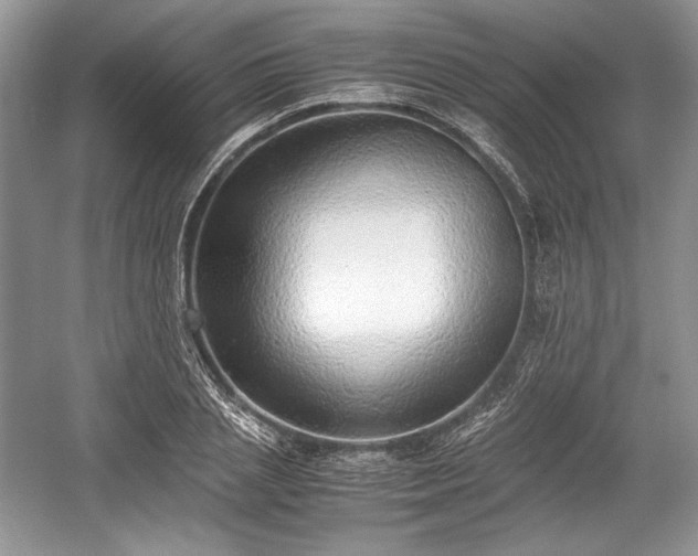 X0000059090837200510101142