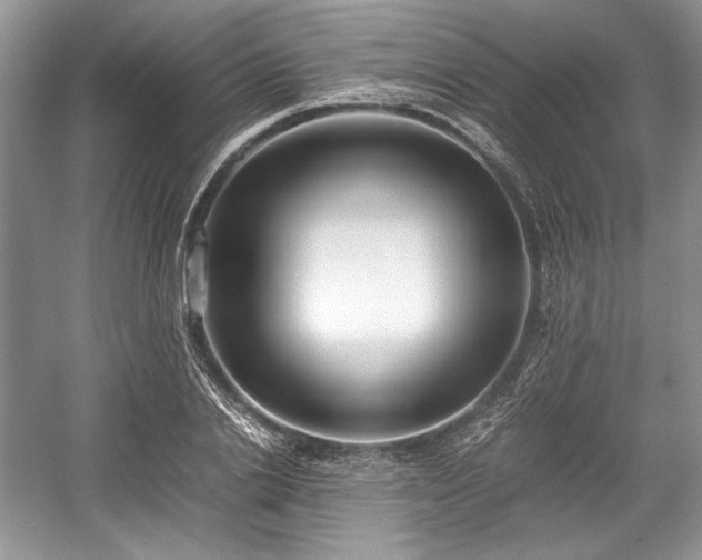 X0000059090838200510101142