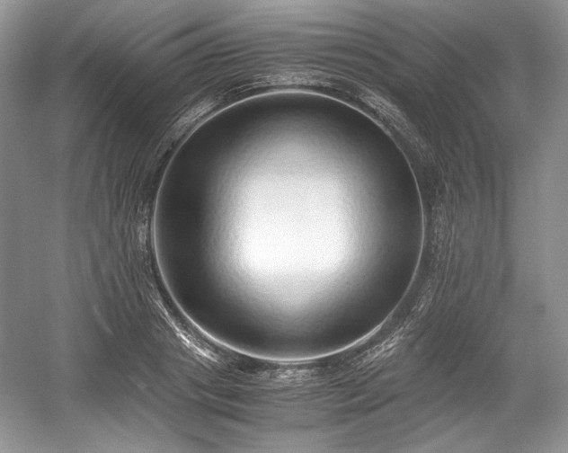 X0000059090841200510101142