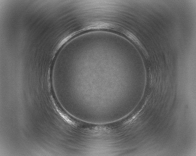 X0000059090842200510101142