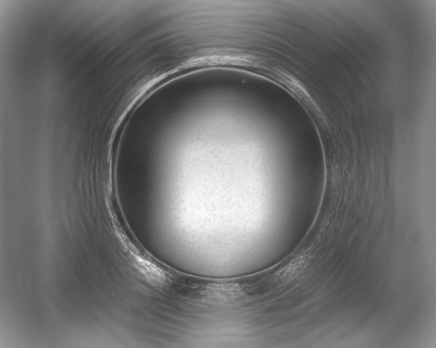 X0000059090844200510101142