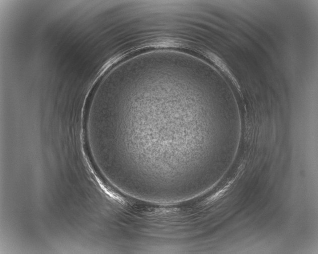 X0000059090845200510101142