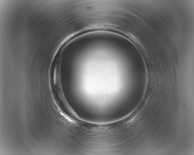 X0000059090846200510101142