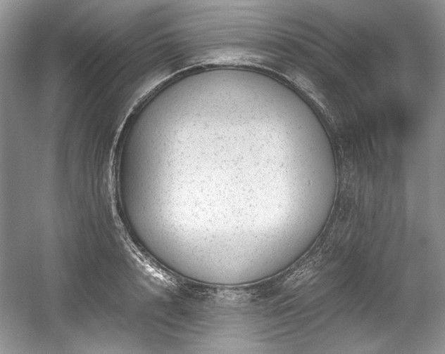 X0000059090848200510101142