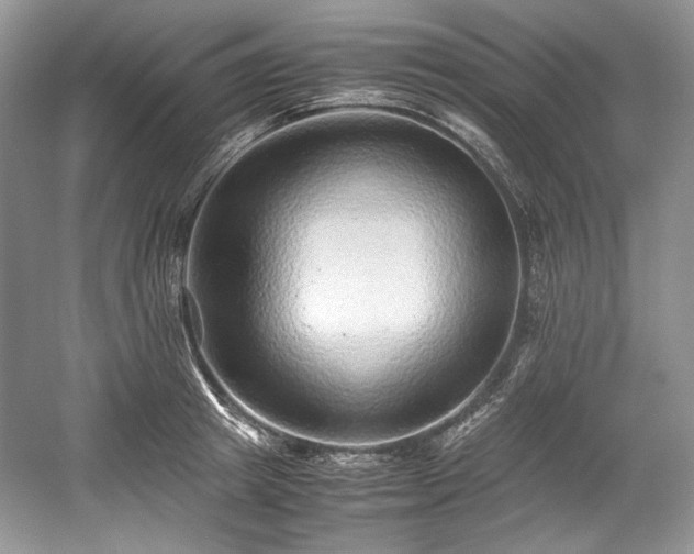 X0000059090849200510101142