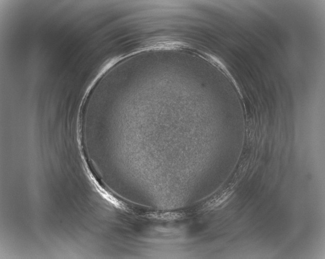 X0000059090851200510101142