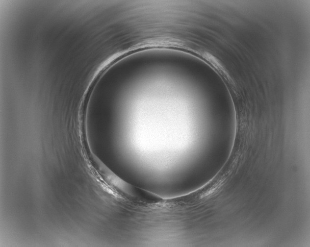 X0000059090854200510101142