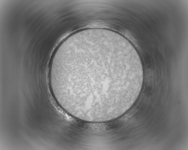 X0000059090856200510101142