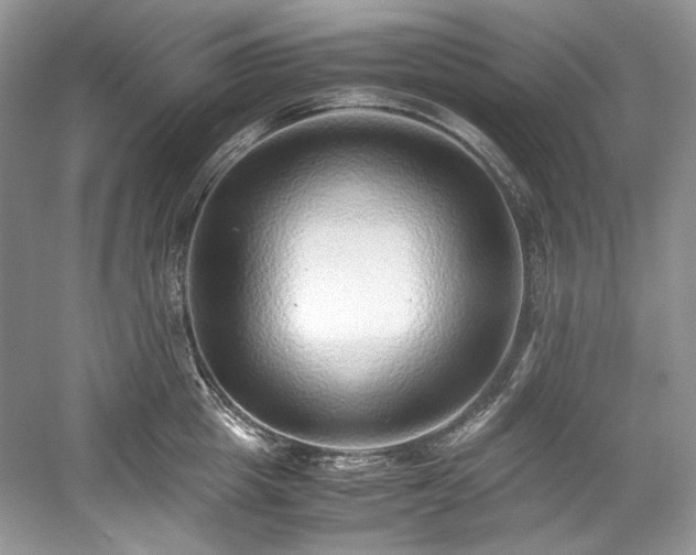 X0000059090857200510101142