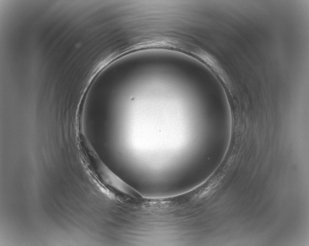 X0000059090858200510101142