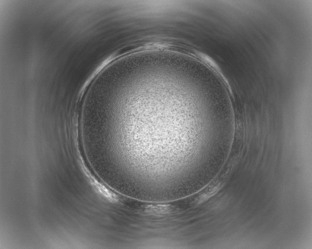 X0000059090859200510101142