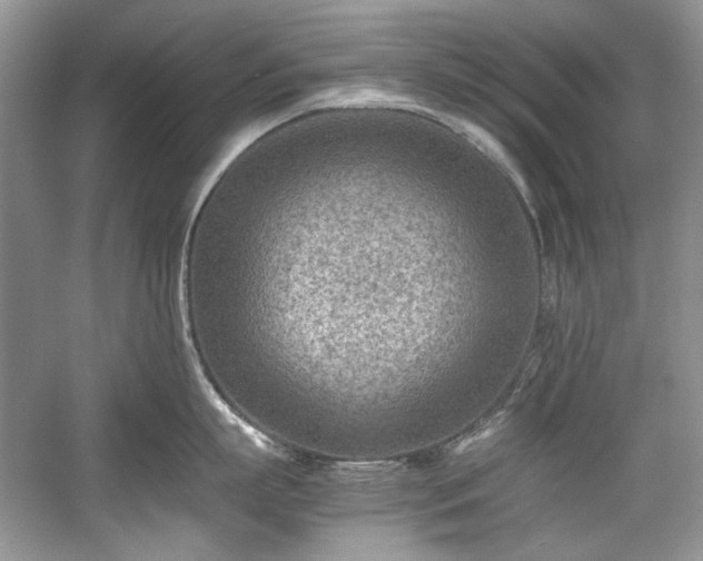 X0000059090863200510101143