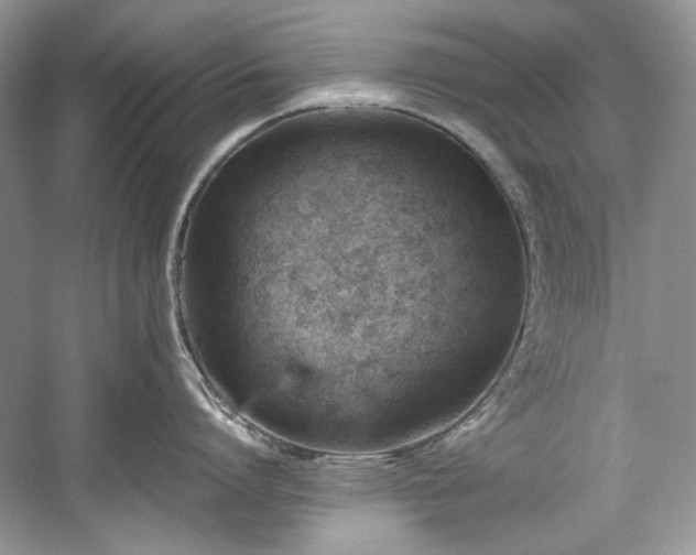 X0000059090864200510101143