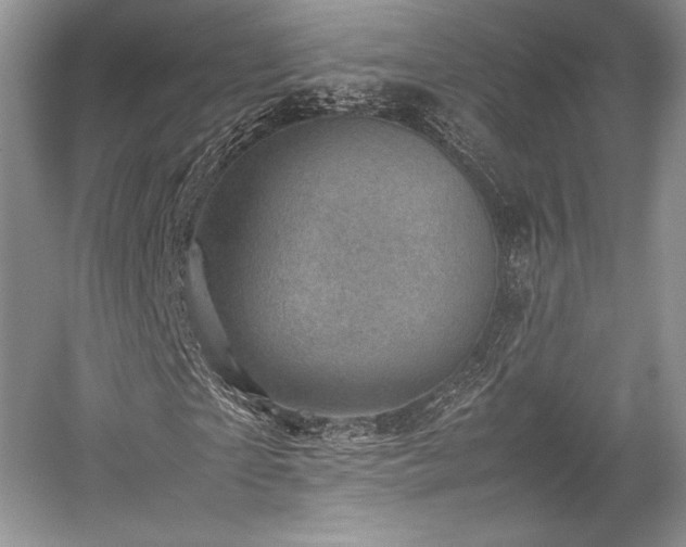 X0000059090865200510101142