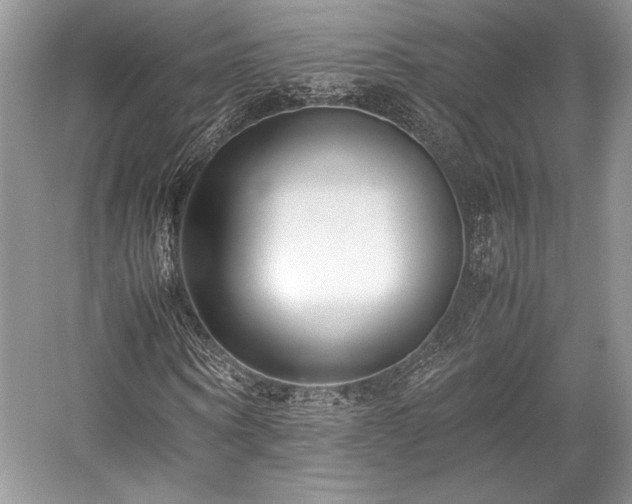 X0000059090866200510101142