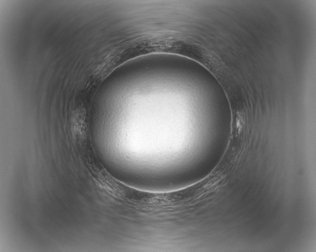 X0000059090867200510101142