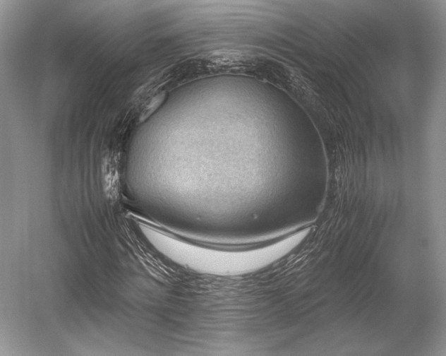 X0000059090868200510101142