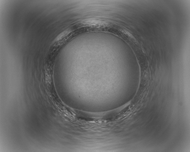 X0000059090869200510101142