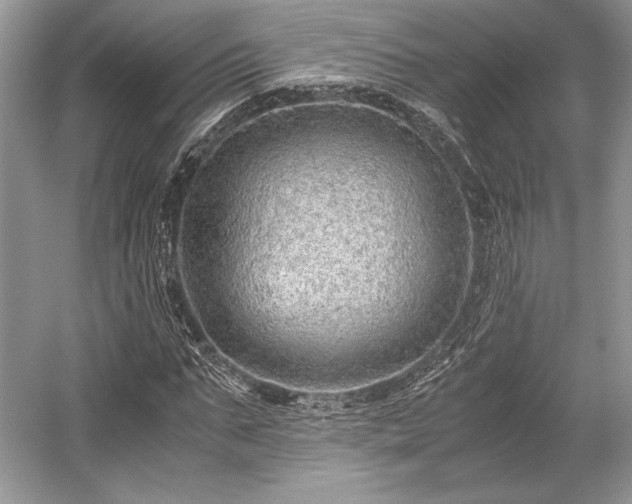 X0000059090871200510101142