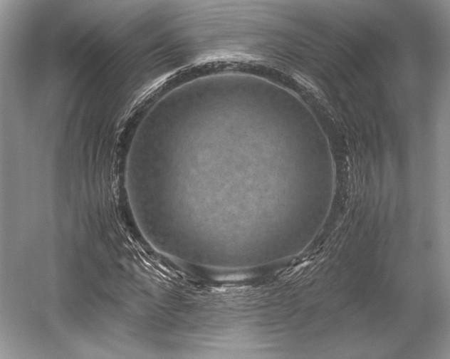 X0000059090872200510101142