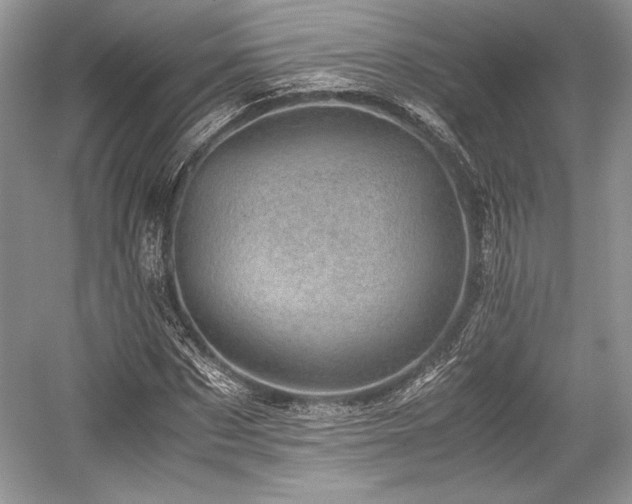 X0000059090873200510101142