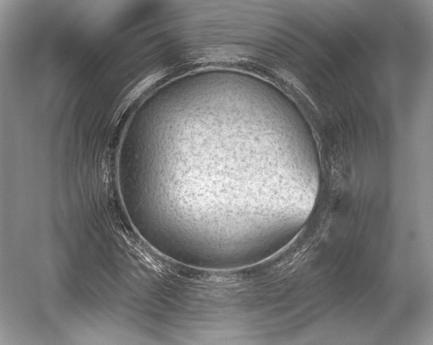 X0000059090874200510101142