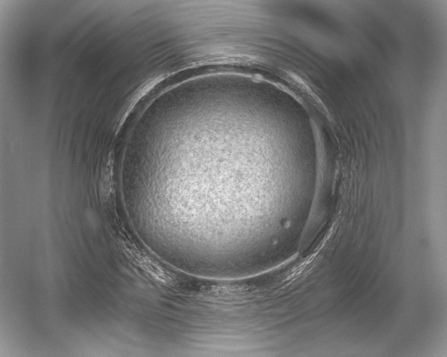 X0000059090875200510101142