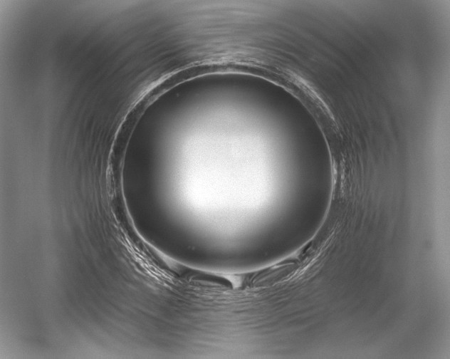 X0000059090876200510101142