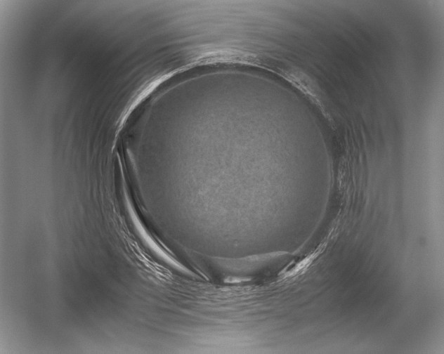 X0000059090877200510101142