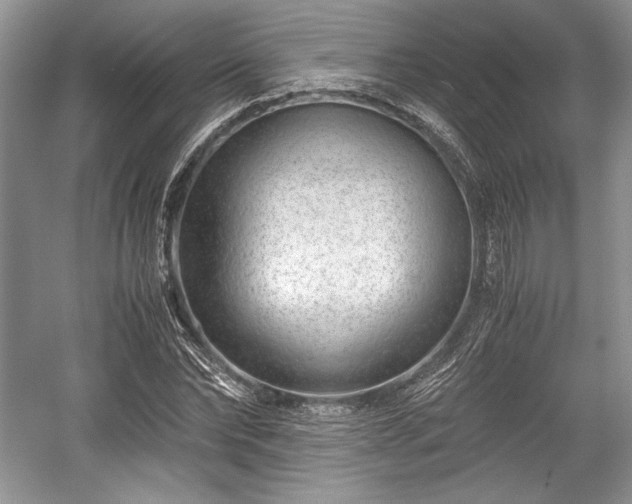 X0000059090878200510101142