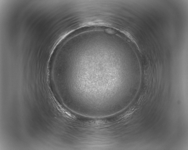 X0000059090879200510101142