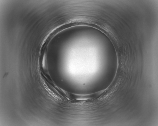 X0000059090880200510101141