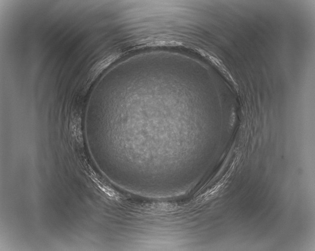 X0000059090881200510101141