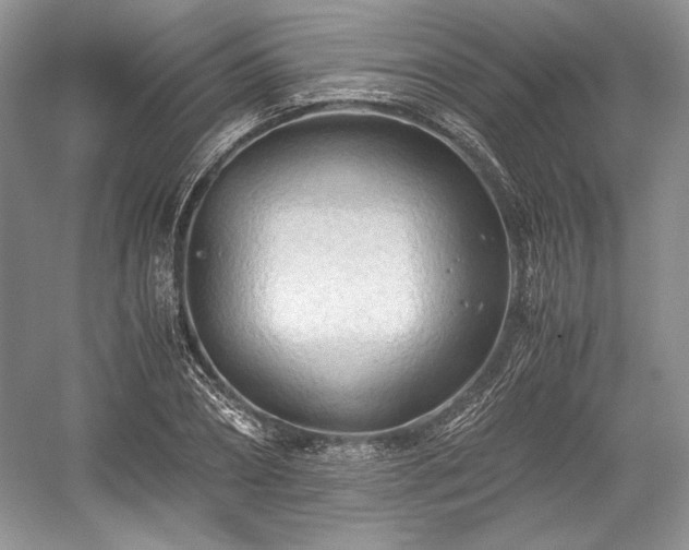 X0000059090882200510101141