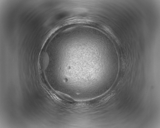 X0000059090883200510101141