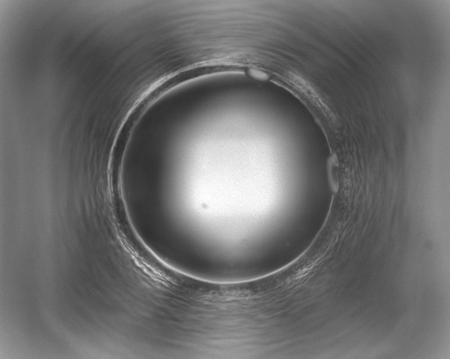 X0000059090884200510101141