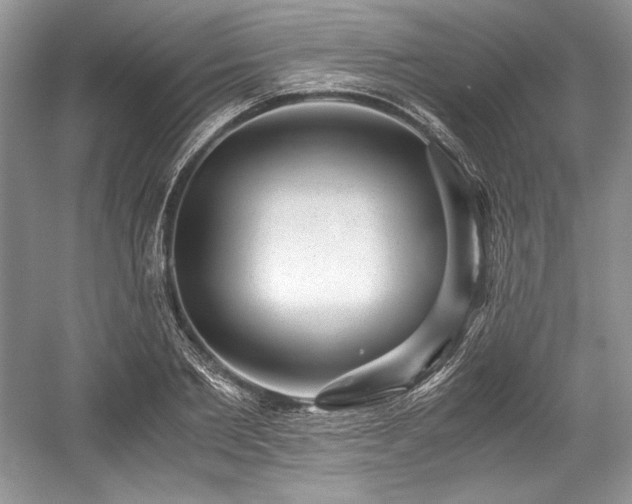 X0000059090885200510101141