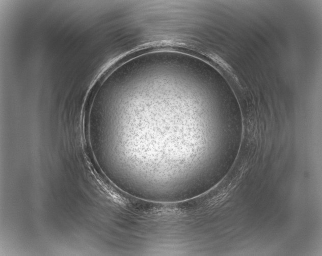 X0000059090886200510101141