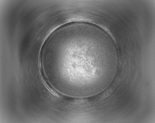 X0000059090887200510101141