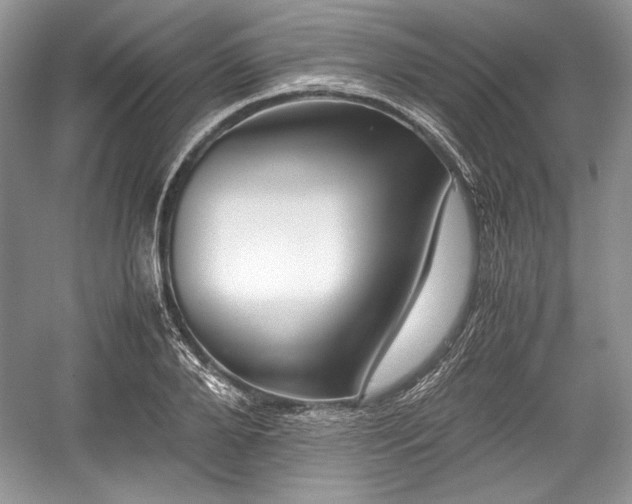 X0000059090888200510101141