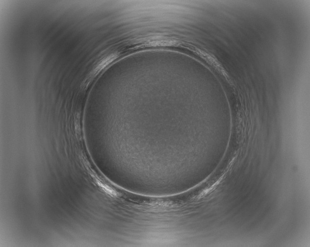 X0000059090889200510101141